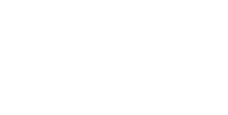 Moxibustione