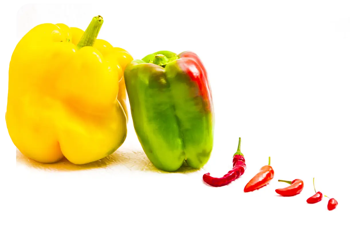 Alimenti funzionali