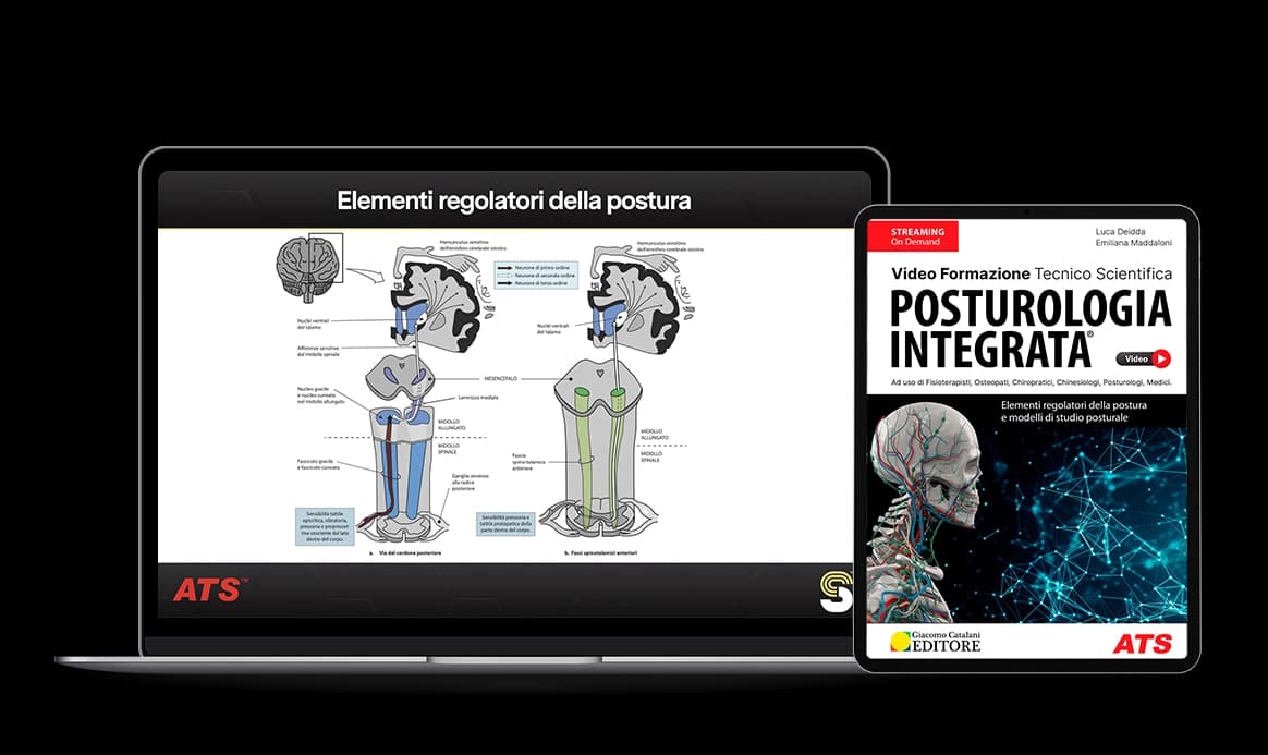 Video Corso Posturologia Integrata