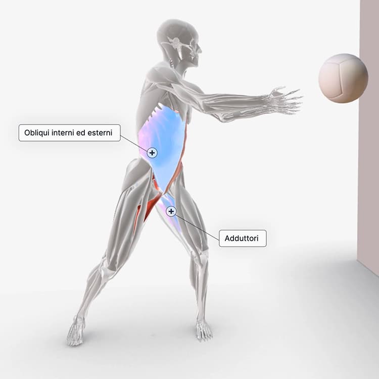 Anatomia-Movimento-ATS
