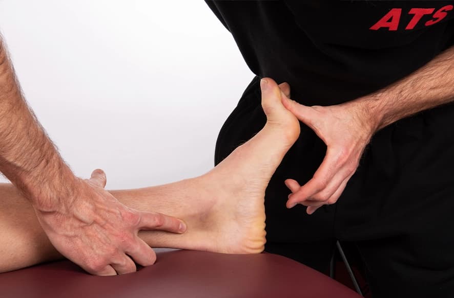 Anatomia-Palpatoria-ATS-Corso-Piede