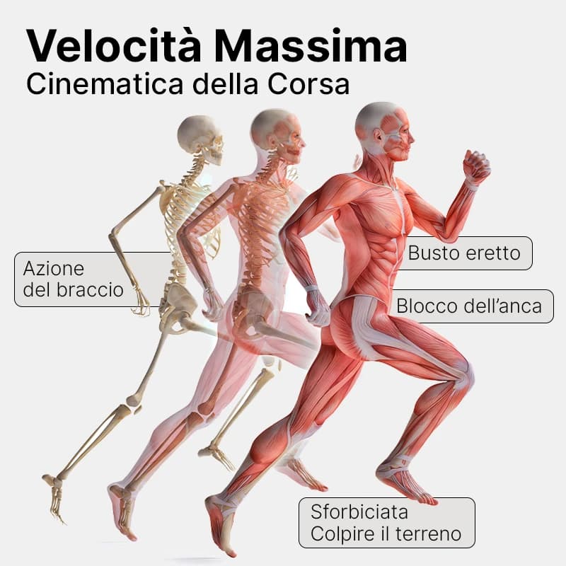 Velocità Massima corsa