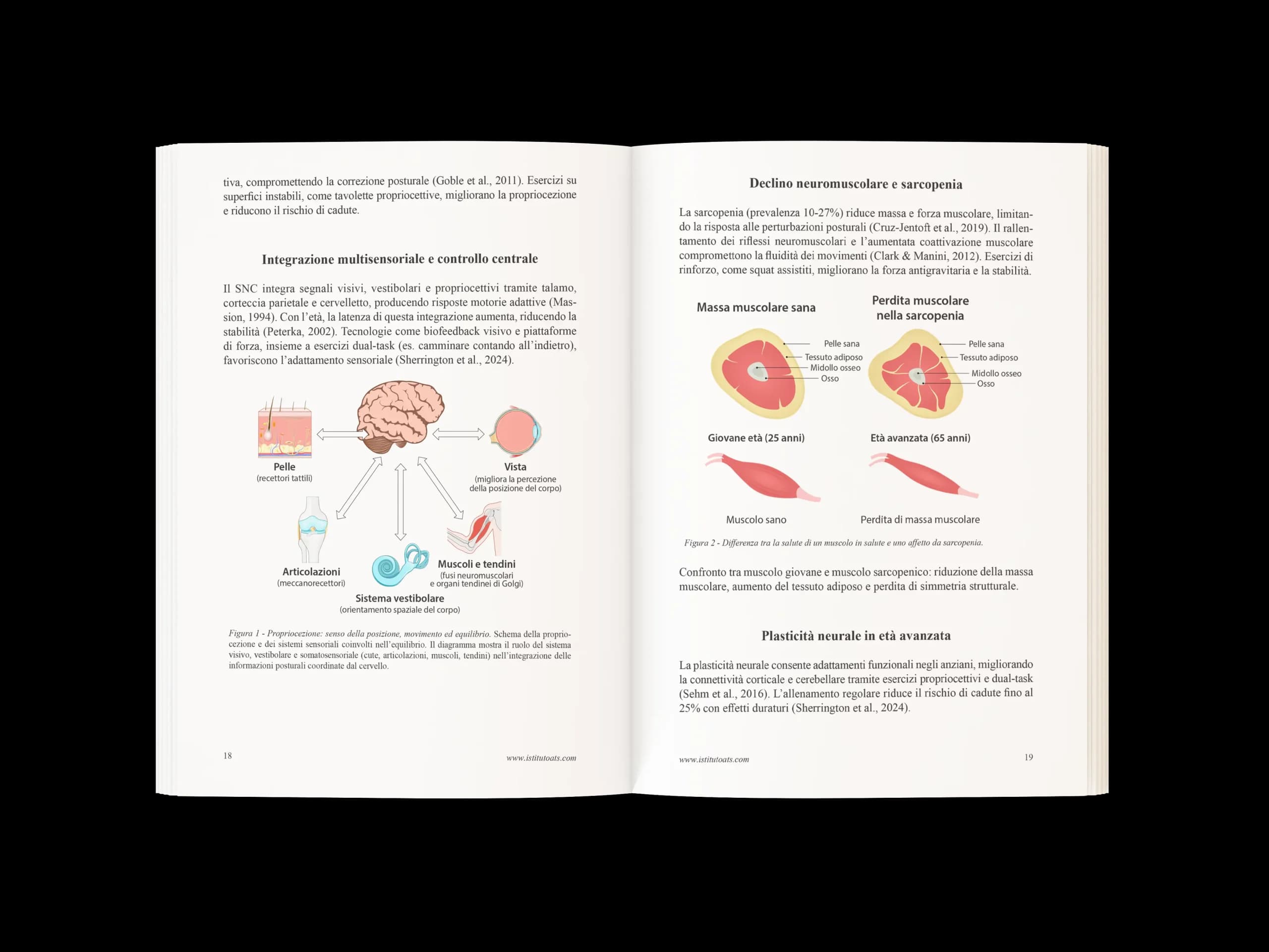 prevenzione cadute 1