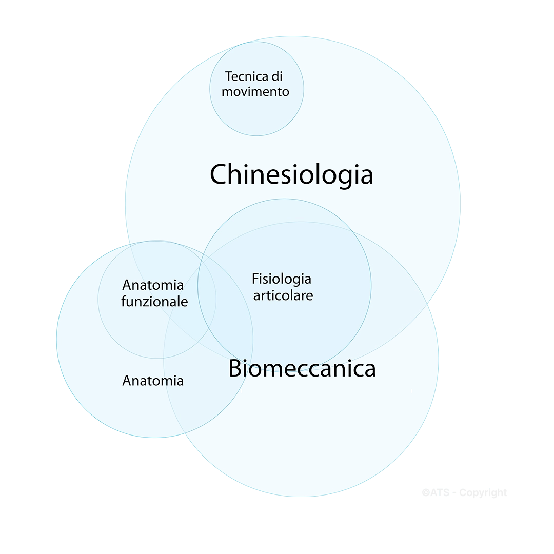 Biomeccanica-Chinesiologia-ATS