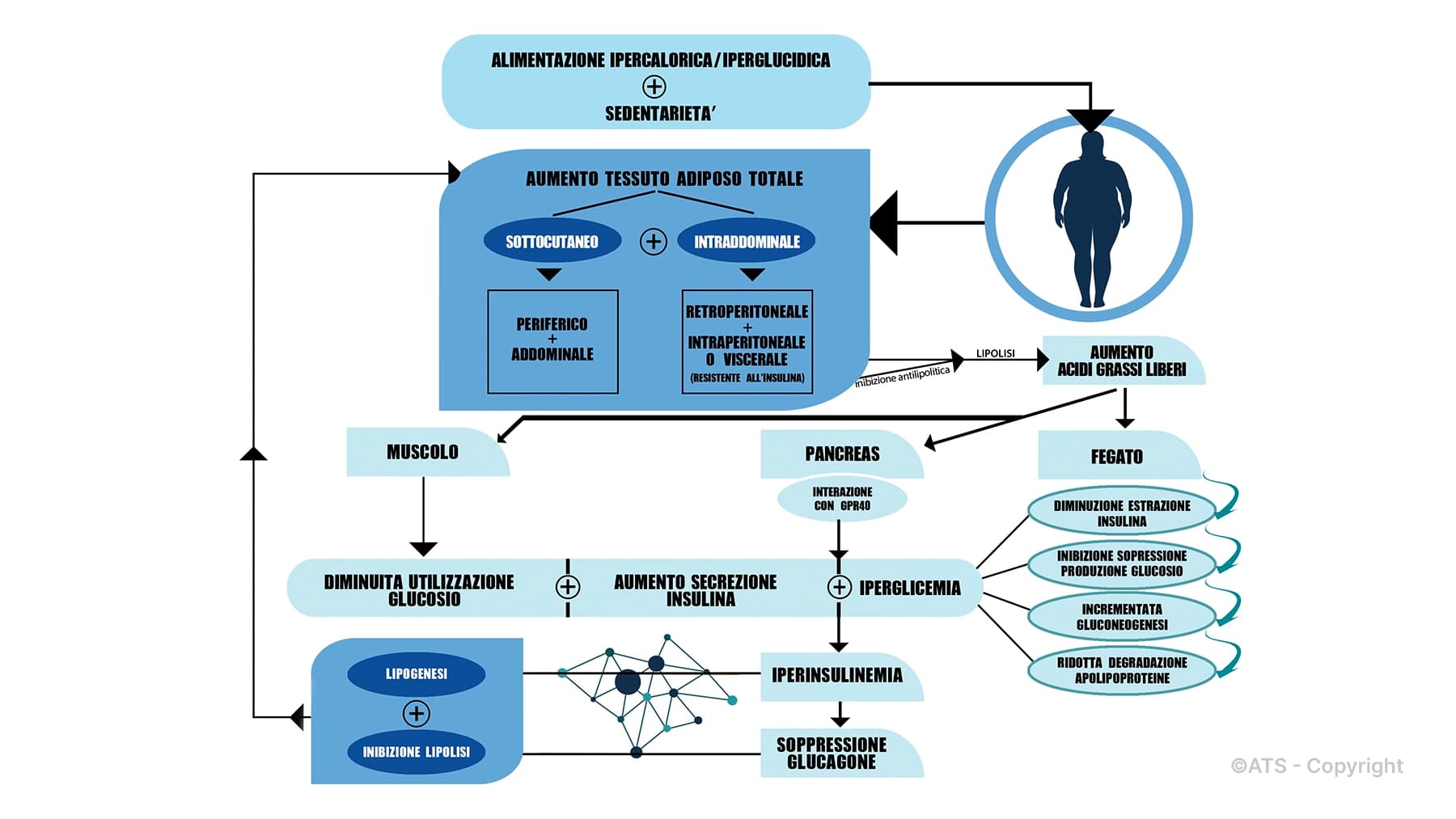 Nutrizione-Funzionale-ATS-Paradosso-obesità