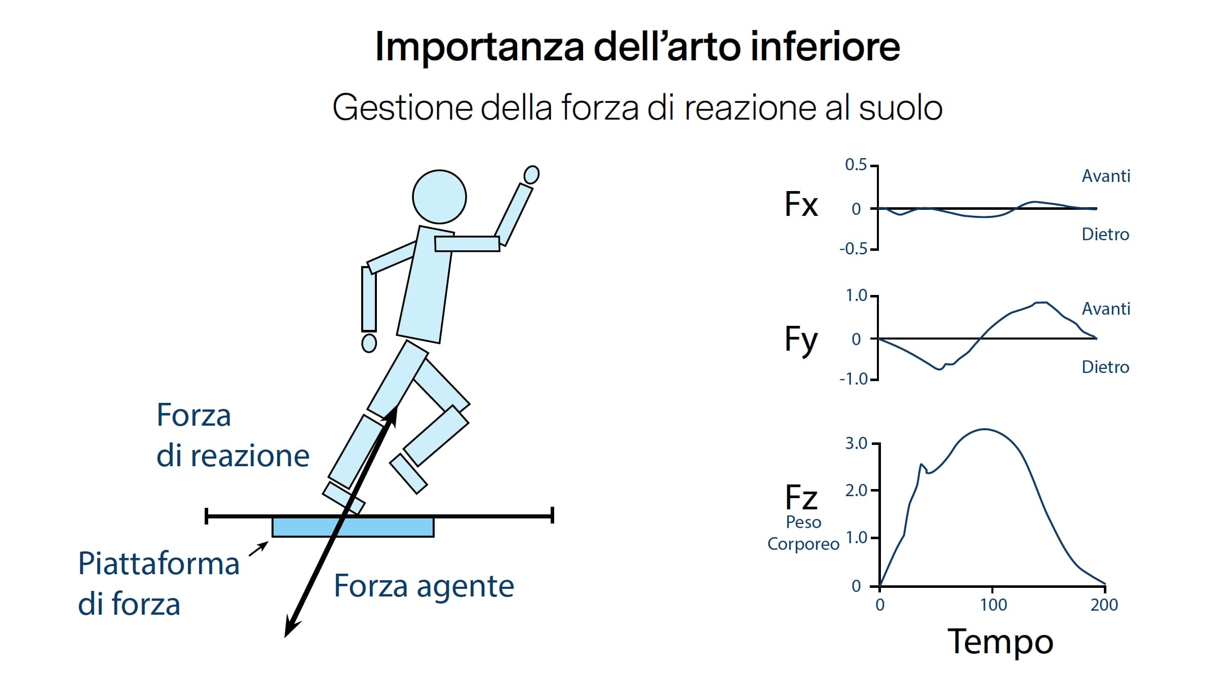 Reazione-al-Suolo-Valutazione-Arto-Inferiore