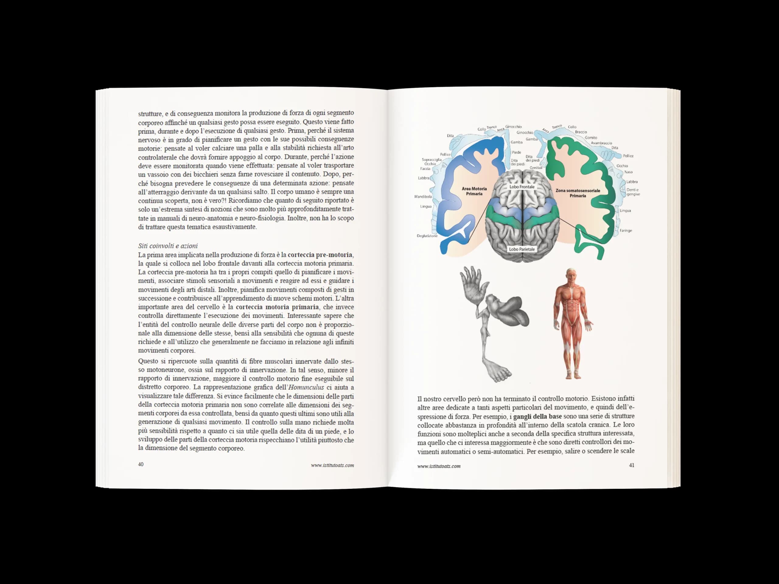 libro scienza forza e ipertrofia 2