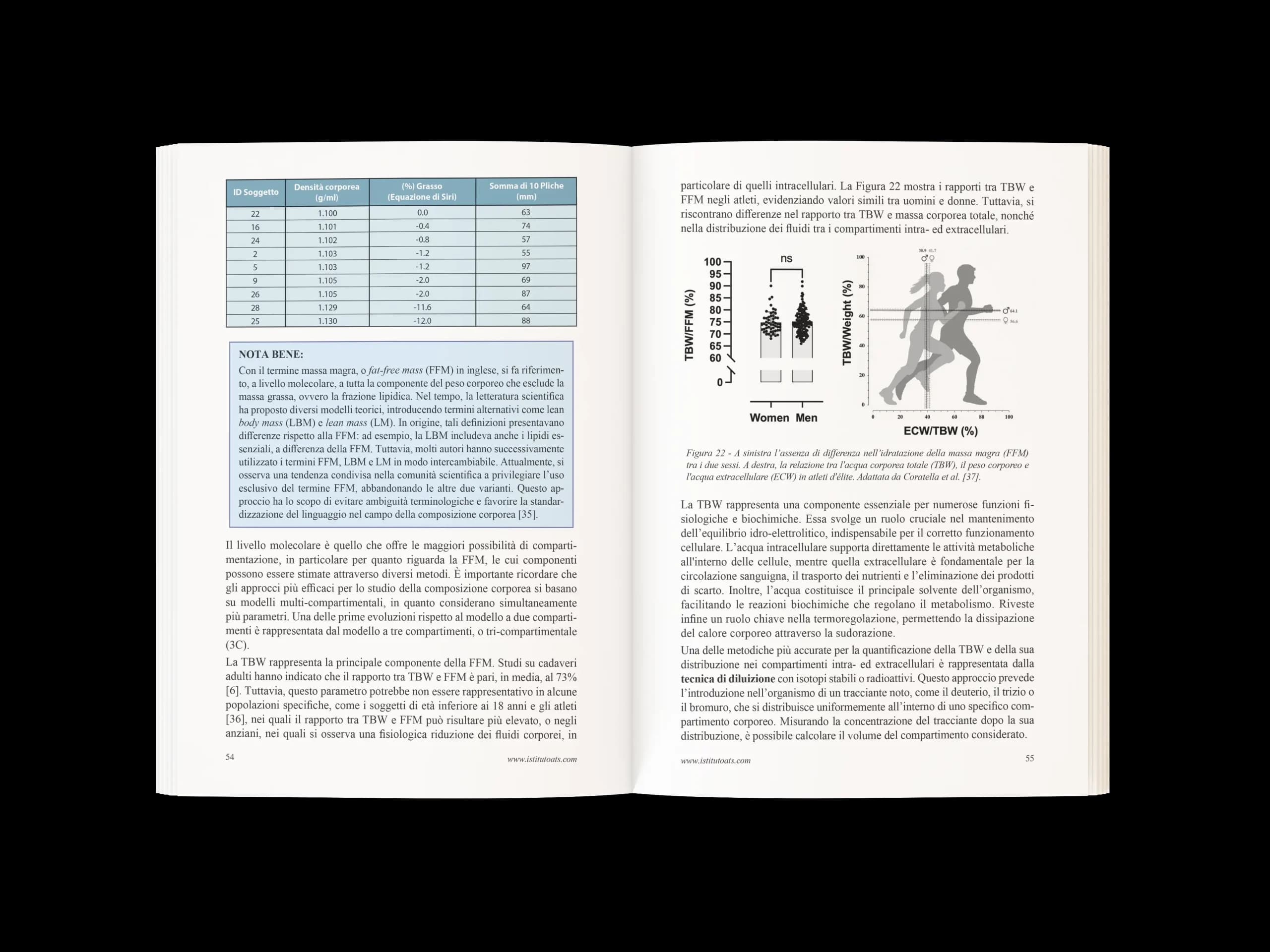 Composizione corporea nello sport3