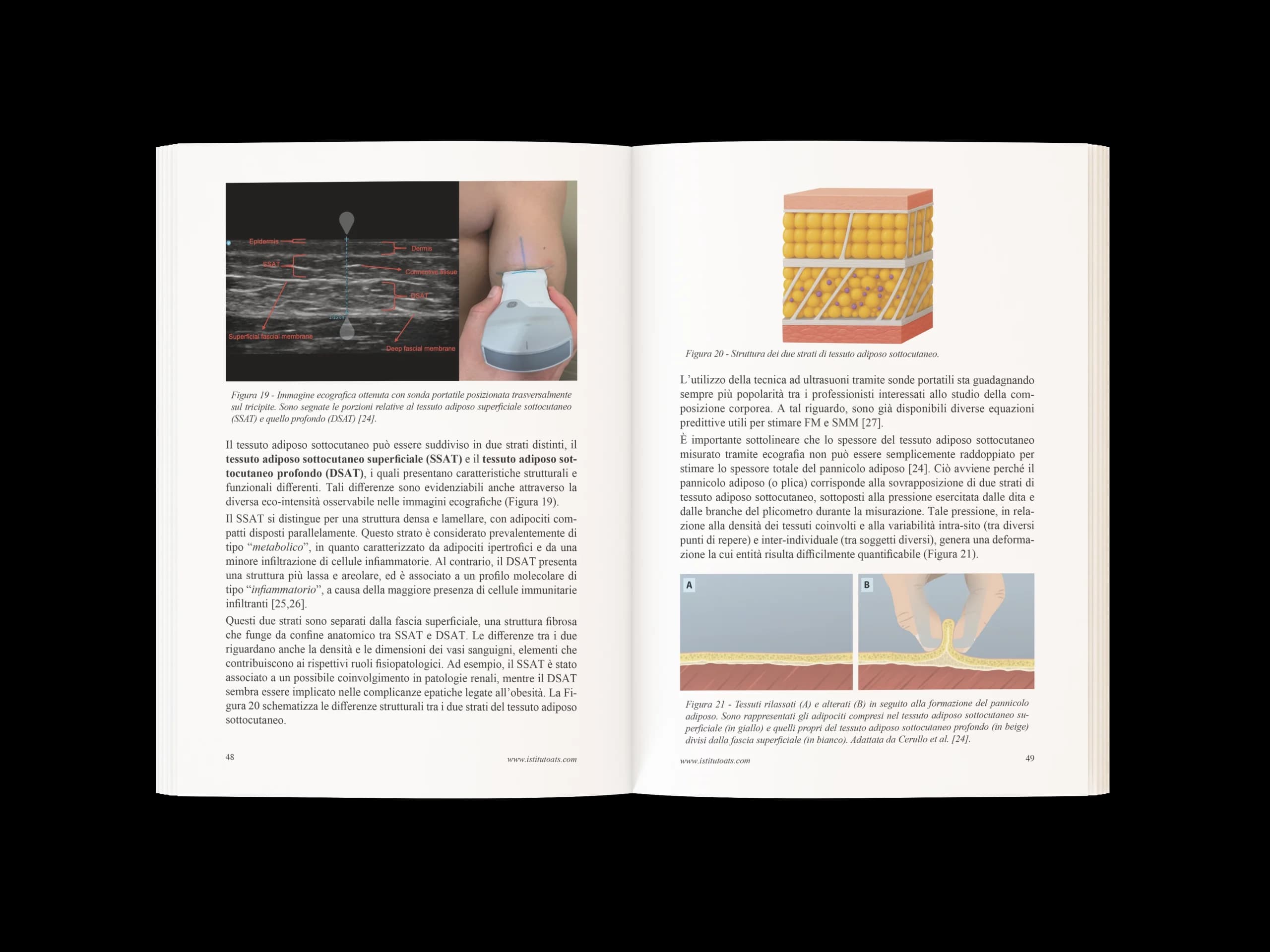 Composizione corporea nello sport5