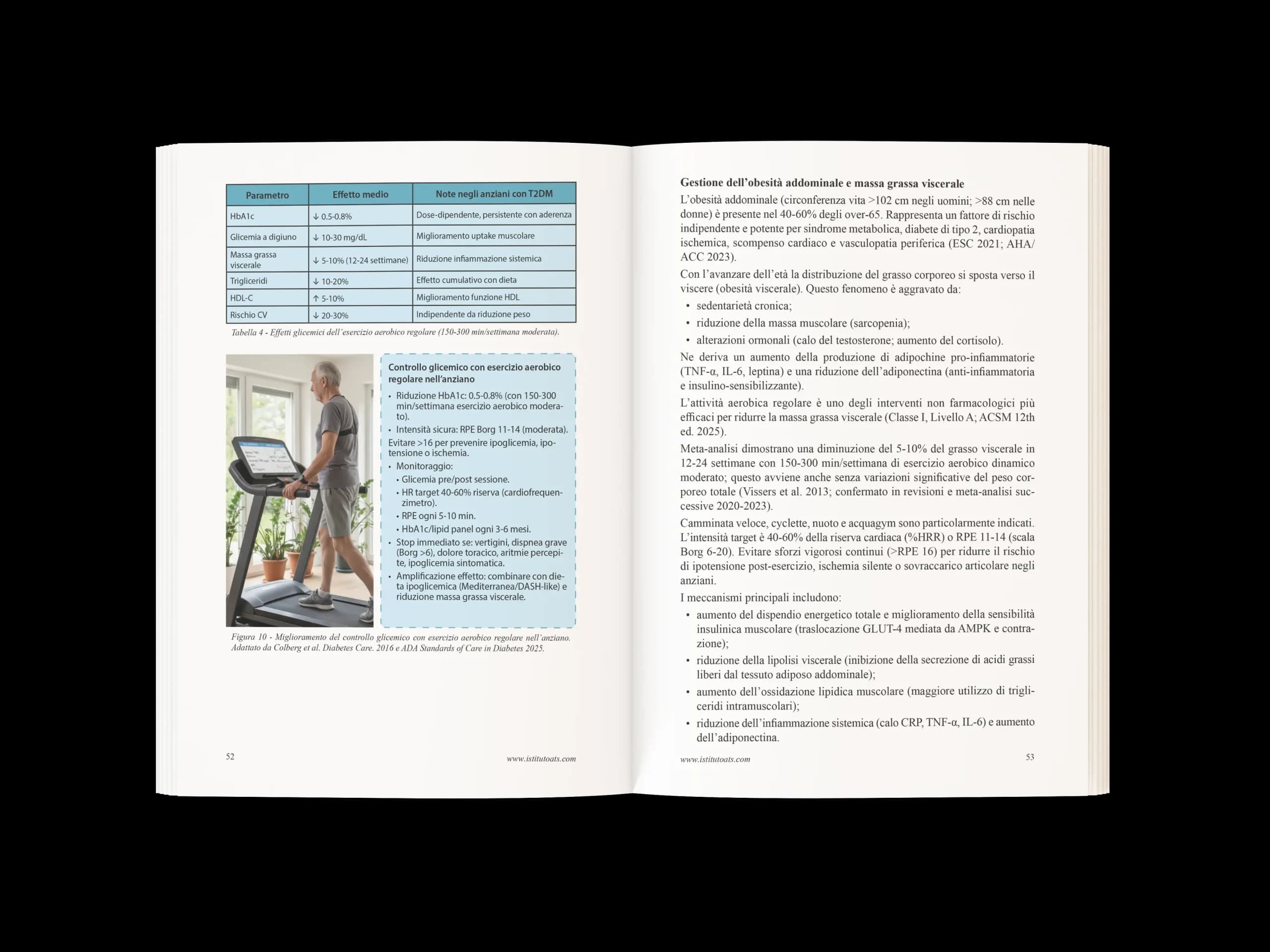 Allenamento cardiovascolare e adattamenti fisiologici1
