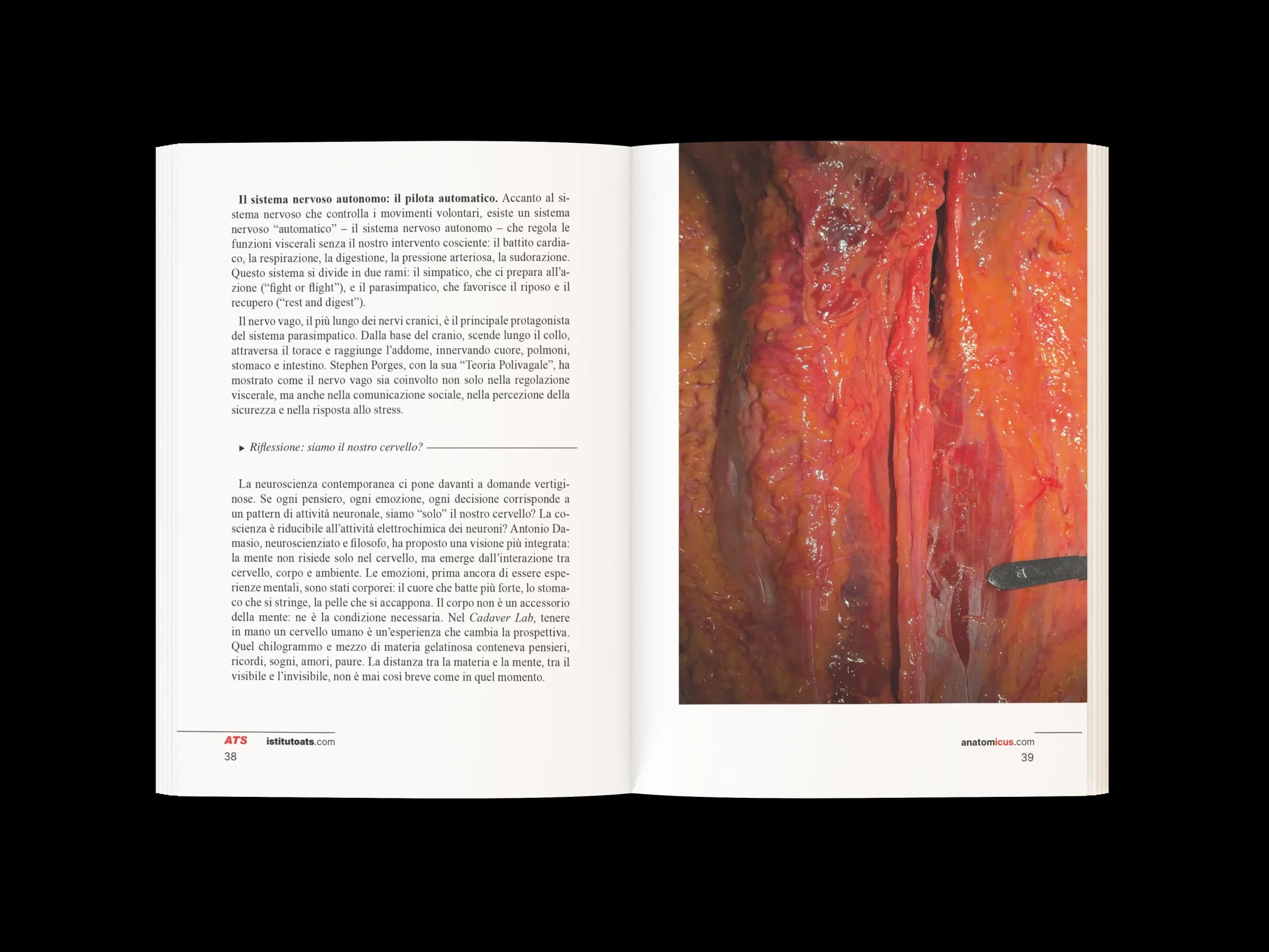 Dalla Pelle al Cuore anteprima 2