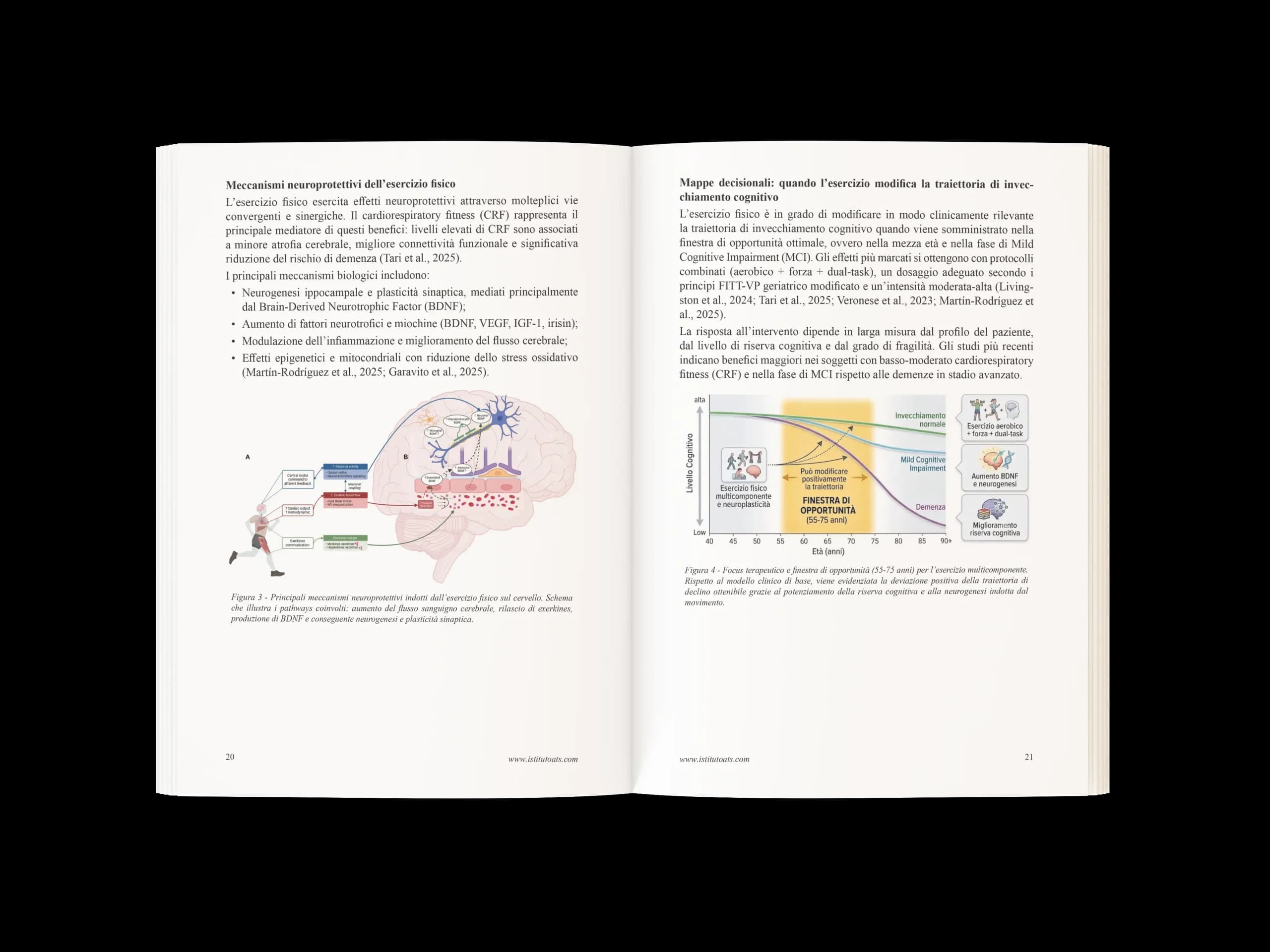 Funzione cognitiva, attività fisica nelle patologie 1