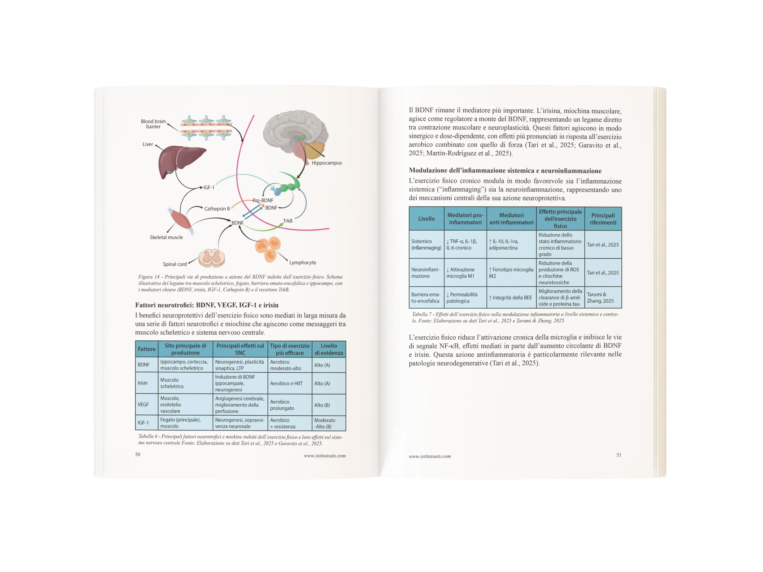 Funzione cognitiva, attività fisica nelle patologie 3